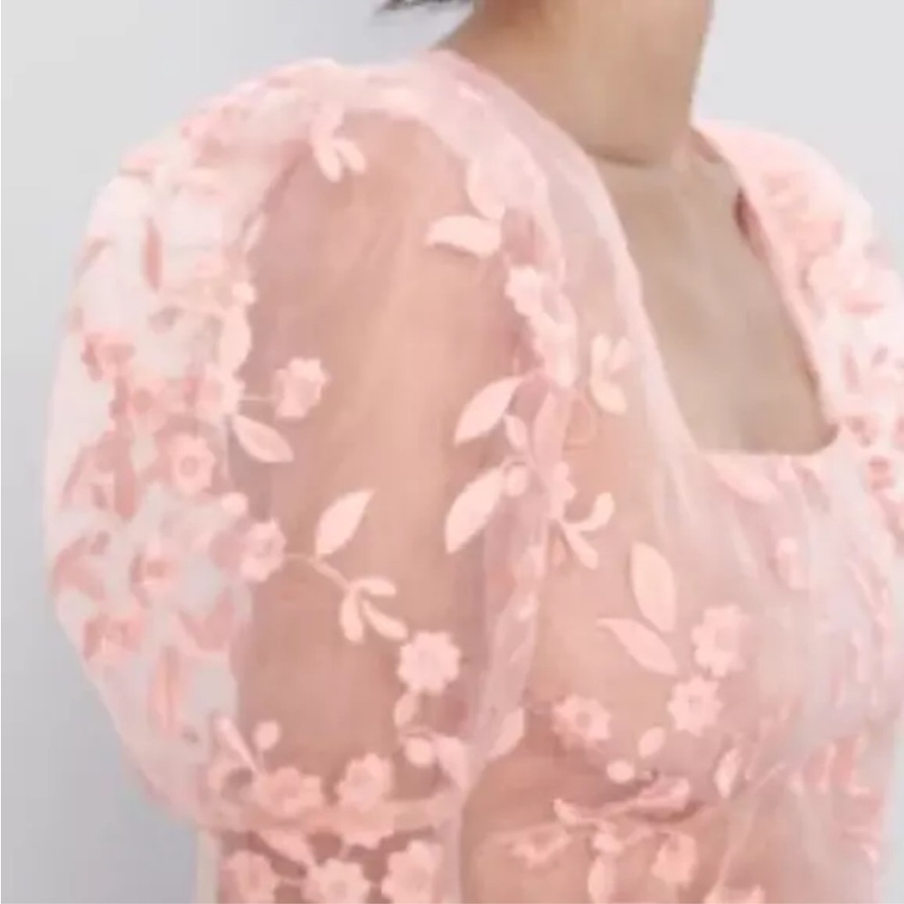 Pink Floral Embroidered Sheer Blouse